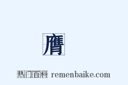 膺録是什么意思的图片
